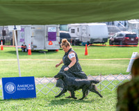 20240815-DSC07940