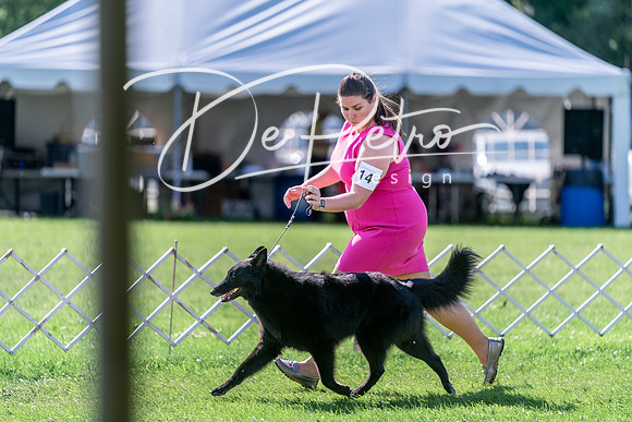 20240630-DSC04687