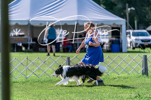 20240630-DSC04796