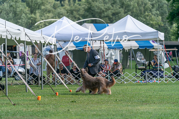 20240630-DSC05288
