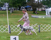 20250626-DSC03489