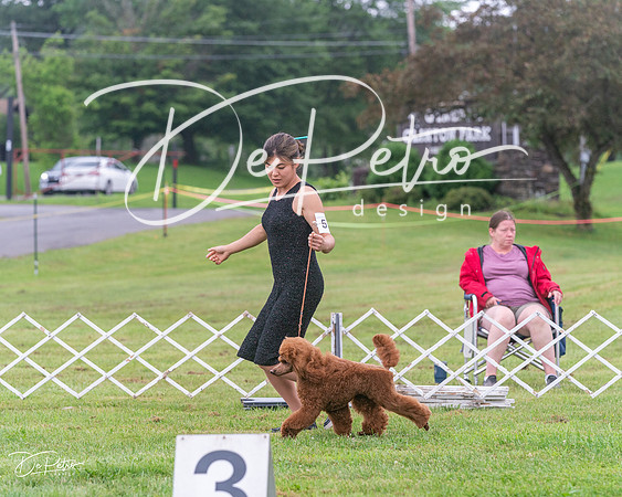 20250626-DSC03546