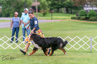 20250628-DSC07551