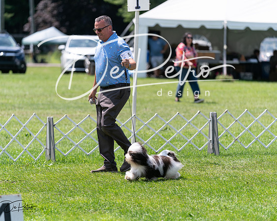 20240630-DSC01533