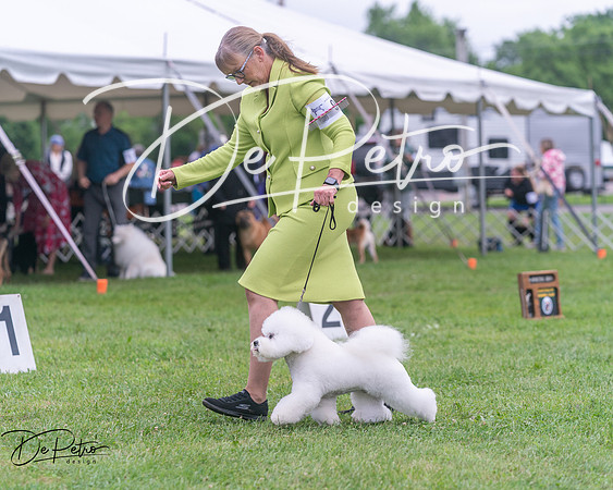 20250627-DSC06689