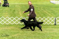 20250628-DSC07800
