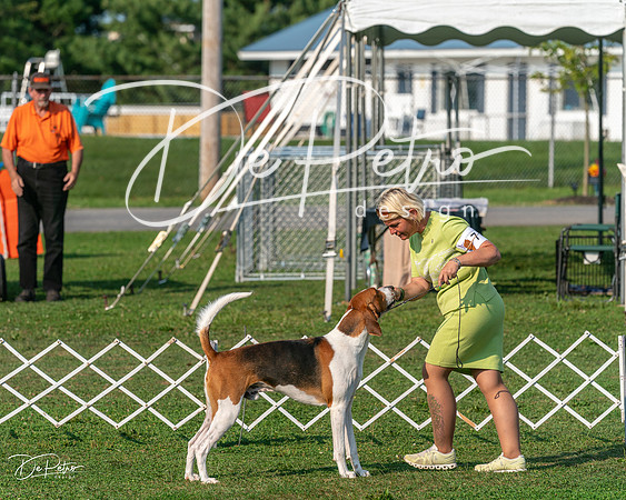 20240913-DSC00289