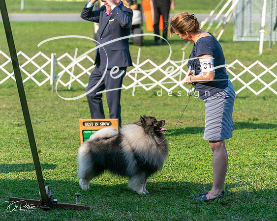 20240913-DSC00485