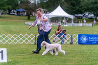 20250626-DSC02664