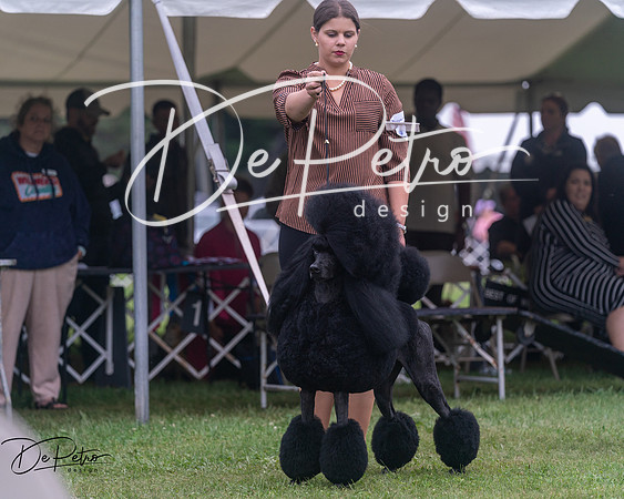 20250627-DSC06779