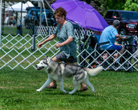 20250629-DSC09392