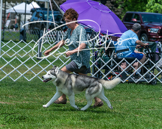 20250629-DSC09392