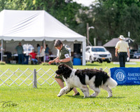 20240630-DSC02900