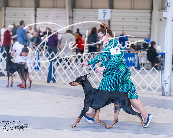 20250302-DSC06795