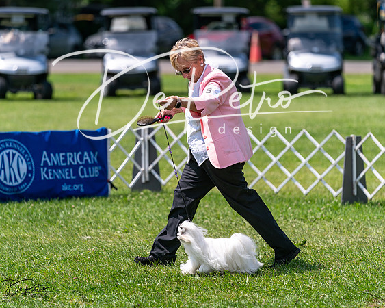 20240630-DSC01649