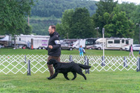 20250626-DSC02215