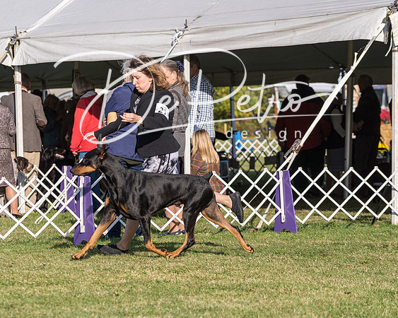 20190929-DSC02601