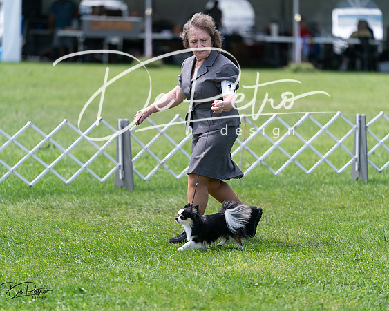 20240630-DSC01581