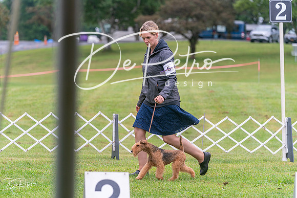 20250626-DSC02704