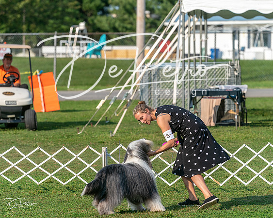 20240913-DSC00212