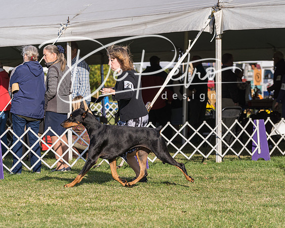 20190929-DSC02599