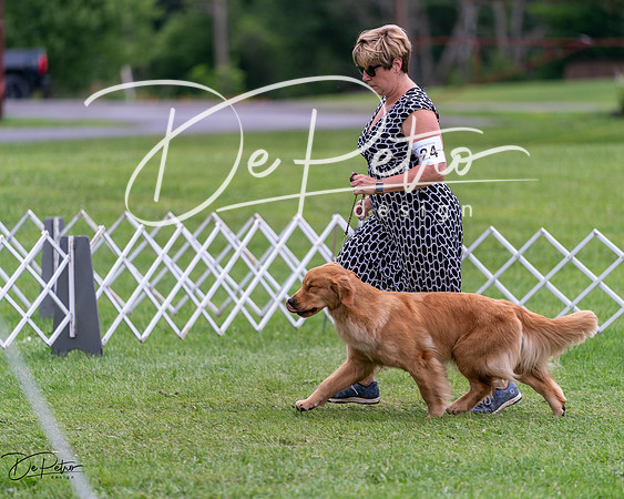 20240630-DSC00782
