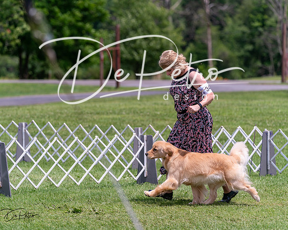 20240630-DSC00487