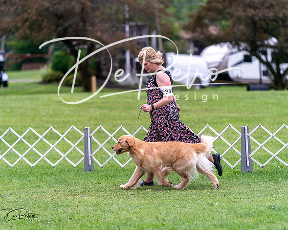 20240630-DSC00660