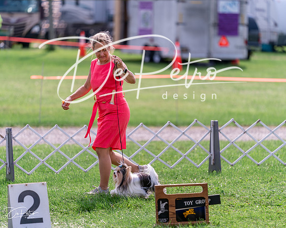 20240815-DSC06535