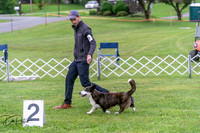 20250627-DSC06265