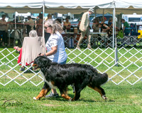 20250629-DSC09270