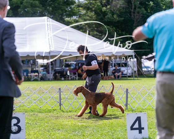 20240630-DSC03713