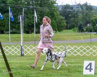 20250626-DSC03604