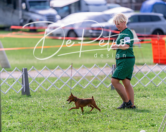 20240815-DSC06483