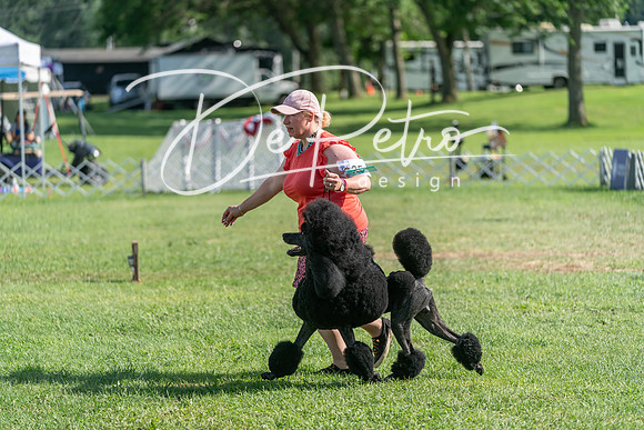 20240630-DSC05180