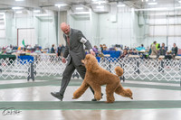 20250315-DSC08173