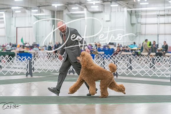 20250315-DSC08173