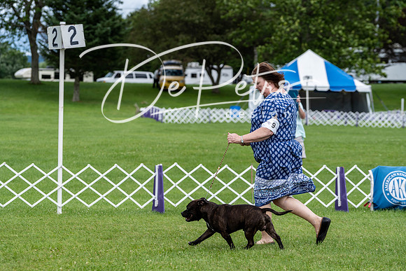 20190630-DSC06458