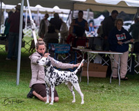 20250627-DSC06489