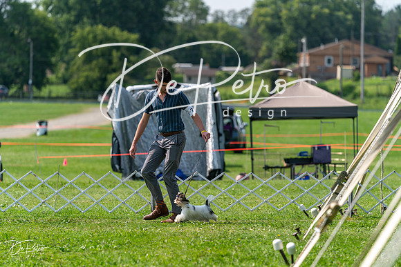 20240816-DSC00379