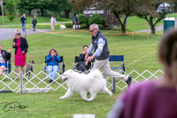 20250627-DSC05651
