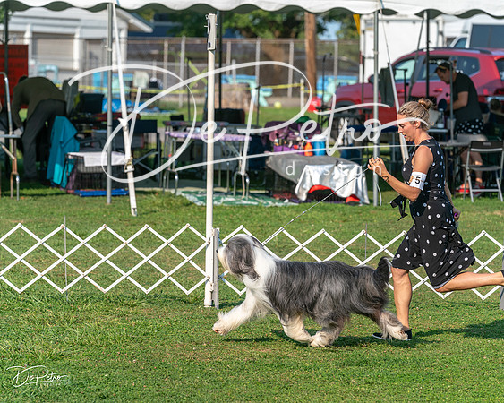 20240913-DSC09946