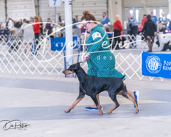 20250302-DSC06674