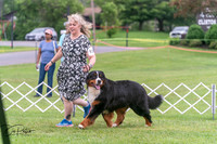 20250628-DSC07536