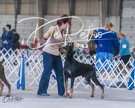 20250302-DSC07022