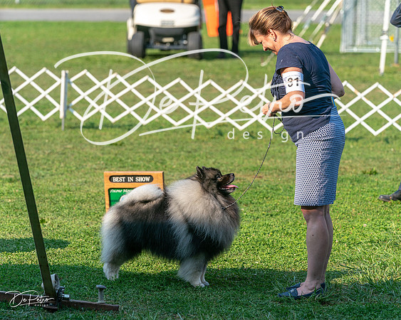 20240913-DSC00473