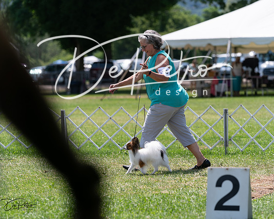 20240630-DSC01438