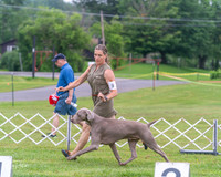 20250626-DSC03902