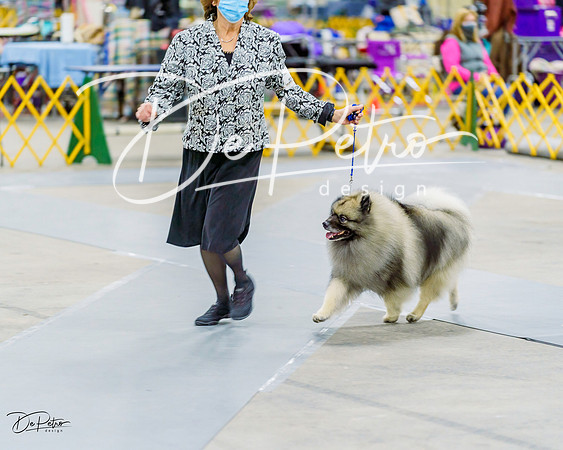 20220108-DSC00889-Edit