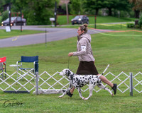 20250627-DSC06343